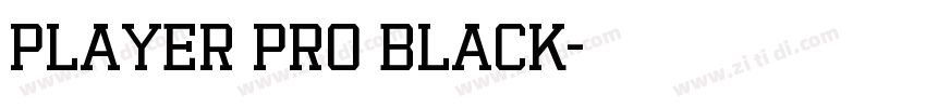 Player Pro Black字体转换